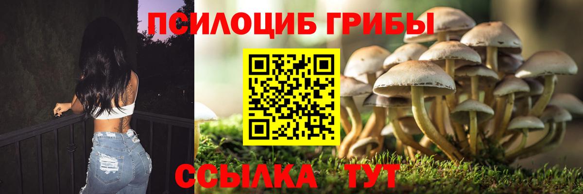 Галлюциногенные грибы Psilocybine cubensis  Вход с VPN  Джанкой 